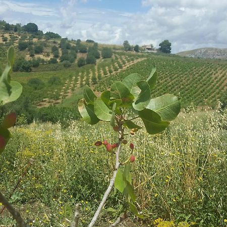 Agriturismo Gessi Villa Calatafimi Dış mekan fotoğraf