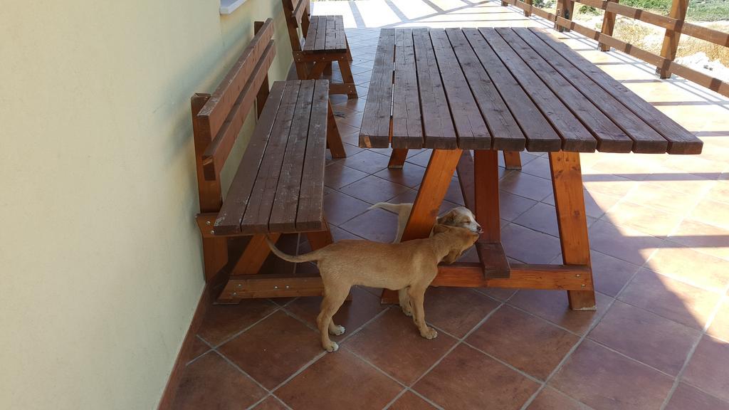 Agriturismo Gessi Calatafimi Dış mekan fotoğraf