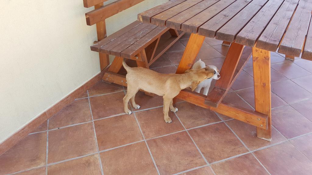 Agriturismo Gessi Calatafimi Dış mekan fotoğraf